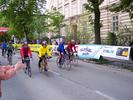 img 2013