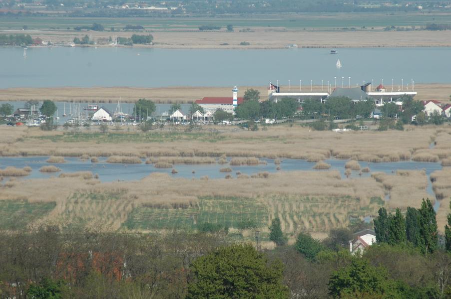 dsc 0965
