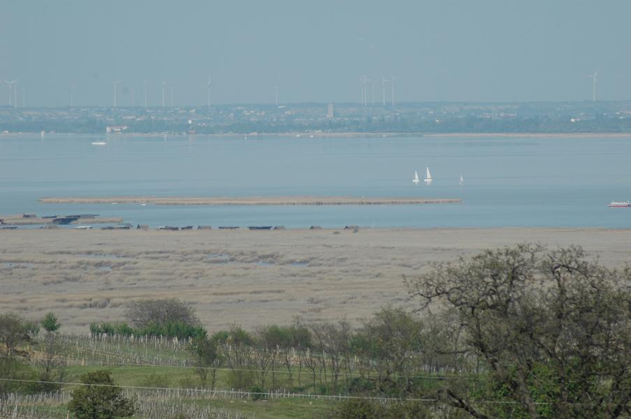 dsc 0967