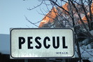 dsc 6545a